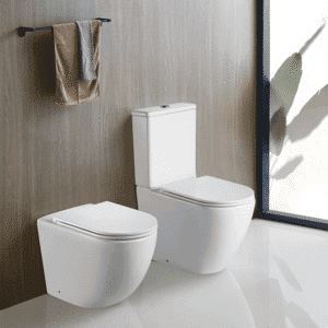 Toilet bidet